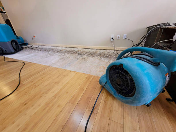 Professional Water Damage Repair technician working in Coulterville, IL